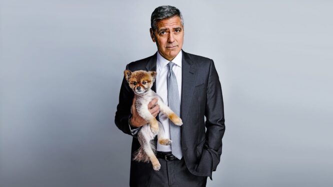 George Clooney Net Worth 2023 – The Hollywood`s Handsomest Man