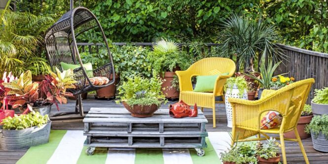 7 Tips To Give Your Terrace Garden A Stunning Look - 2022 Guide