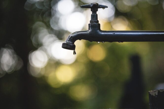 5 Reasons Why Water Conservation is Important