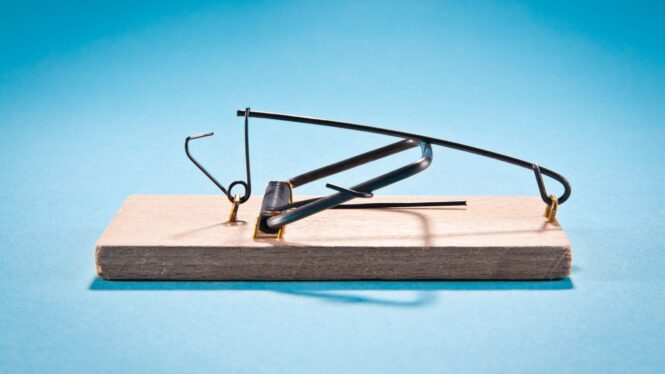 The Three-step Guide To Choosing The Best Mousetrap 