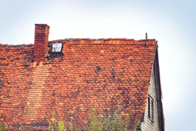 7 Clear Signs You Need To Get Your Roof Inspected And Restored in 2022