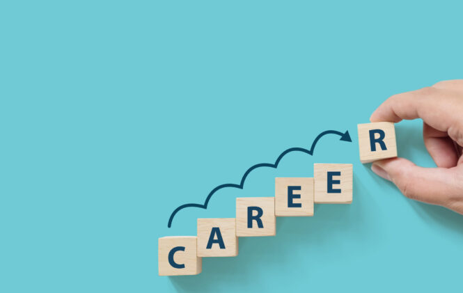 How to Choose your Career - 2023 Guide