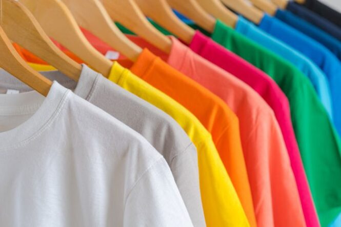 Fascinating Facts About T-Shirts: How Many Do You Know - 2023 Review