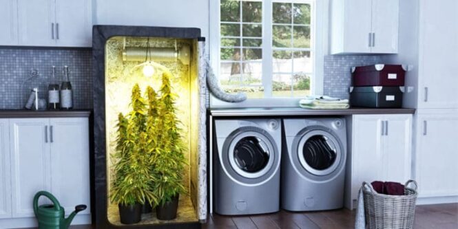 How is a Grow Box Beneficial for the Environment?
