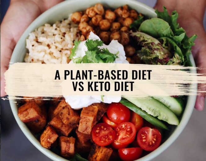 Plant-Based Vegan vs. Ketogenic Diet – Pros and Cons
