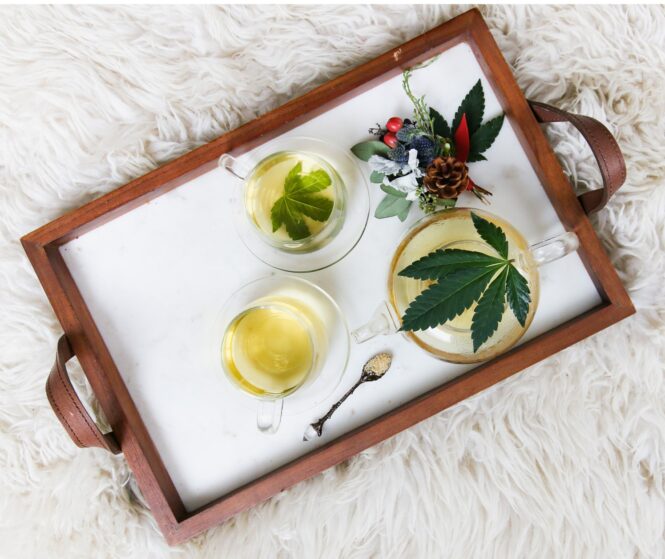 Understanding the Basic Difference Between CBD Oil and CBD Tincture