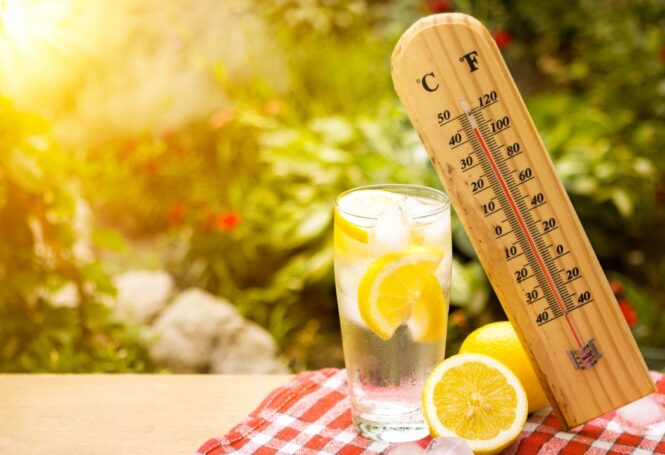 5 Tips to Survive the Heat