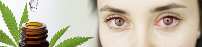 Ways to Get Rid of Red Eyes from Consuming Cannabis - 2022 Guide