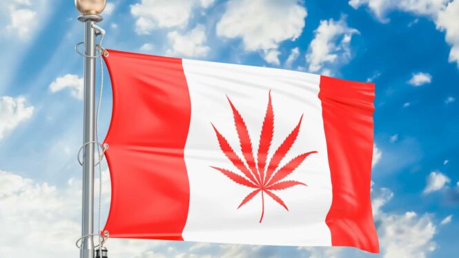 6 Reasons Why Canada is Legalizing Marijuana