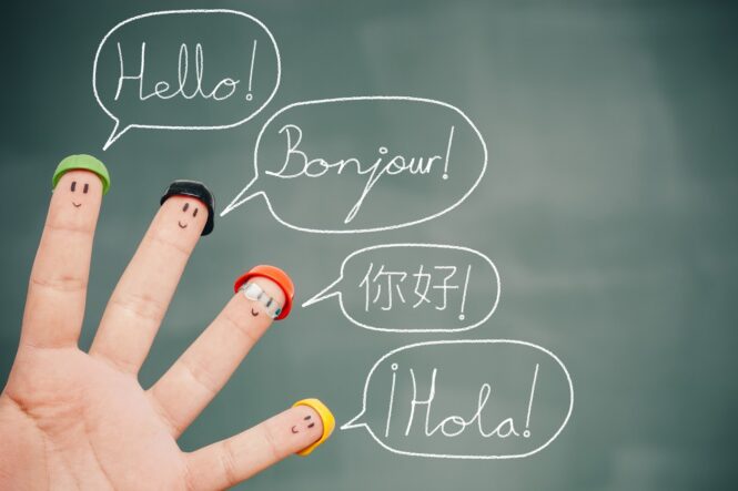Reasons and Challenges of Learning New Languages