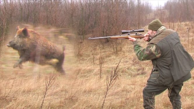 Secret Techniques to Profound Your Hunting Experience