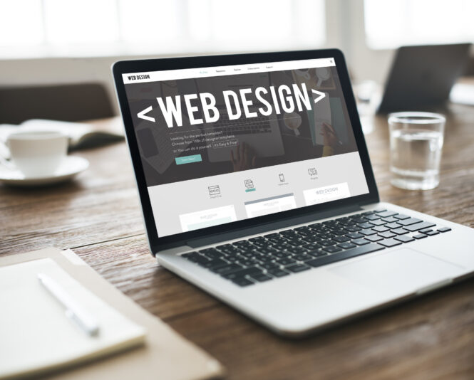Best Examples of Custom Web Design Services