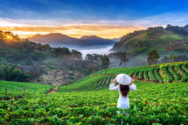 Sapa Travel Guide: 5 Things that will Surprise First Time Visitors