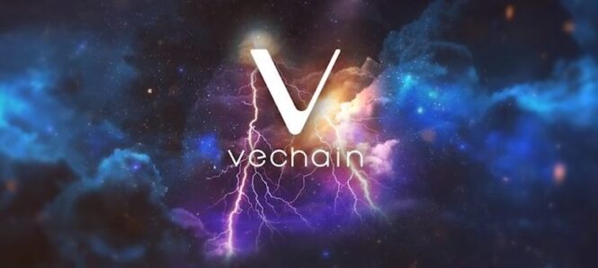 Is Vechain a Good Investment in 2022