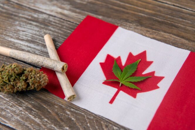 When Was Cannabis Legalized in Canada? 