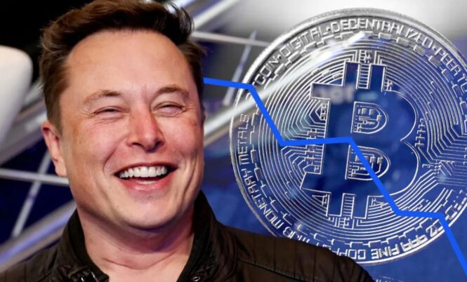 which crypto does elon musk own