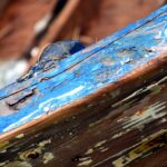 Can Rotted Wood in Boat Be Repaired? Here’s What You Need To Know