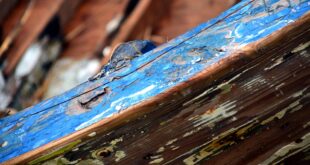 Rotted Wood in Boat