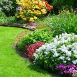 Creating a Lush Landscape: Essential Lawn Maintenance Tips for Homeowners