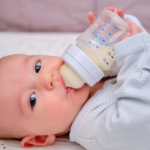 What's in the Milk: Exploring Holle Bio Baby Formula Components (2023)
