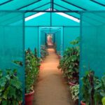 10 Innovative Ways to Use Shade Nets in Your Garden or Greenhouse - 2023 Guide