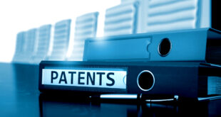 Balancing Risk and Reward ' Making an Informed Decision About Patenting