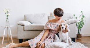 Creating a Pet-Friendly Home Rug Solutions