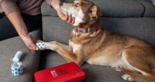Pet First Aid - Save Your Beloved Companion's Life