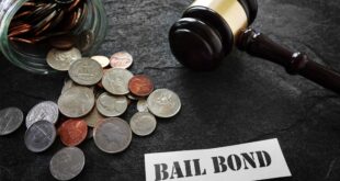 To Bond or Not to Bond - Understanding Your Bail Options