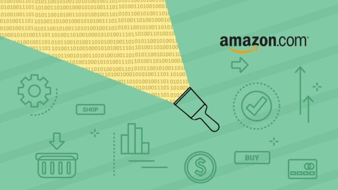 Why Investing in Scraping Amazon Makes Business Sense