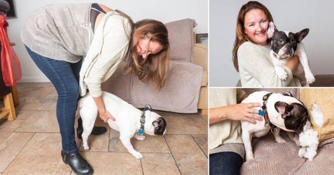 performing Heimlich maneuver on pets in case of obstructed airflow