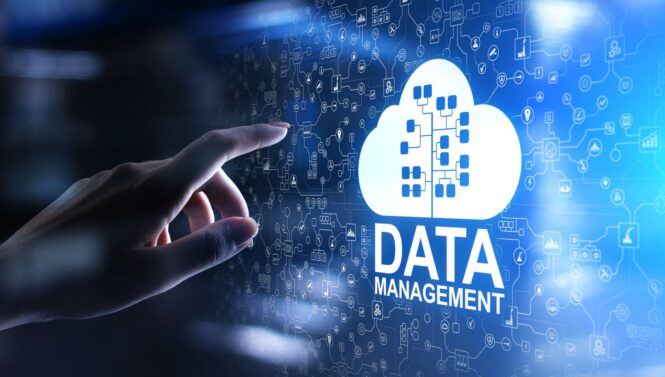 what is Customer Data Management