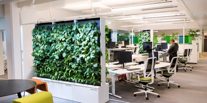 9 Tips for Creating Cleaner Air in Offices - Vital Move for Worker Wellbeing