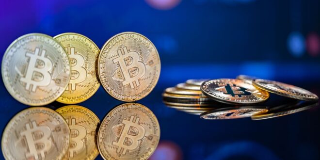 From Zero to Crypto Hero - Maximizing Profits in the World of Digital Coins