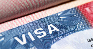 What are BFD and EAD with a U Visa