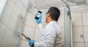 How Long Does a Mold Inspection Take