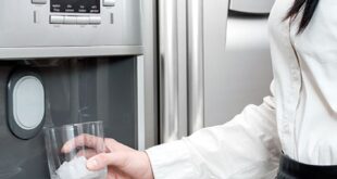 5 Top Features to Assess When You’re Shopping for a Commercial Freezer