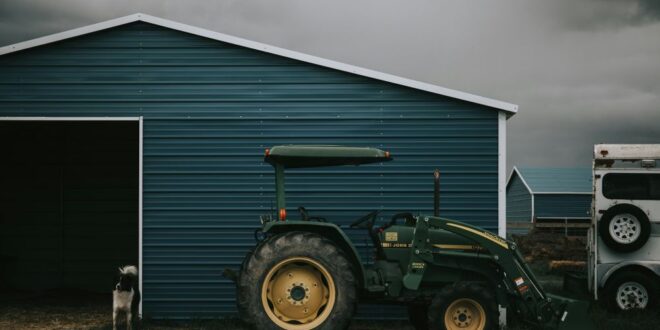 What to Consider When Building a Shed on Your Property